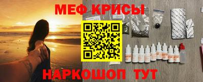 стафф Кингисепп