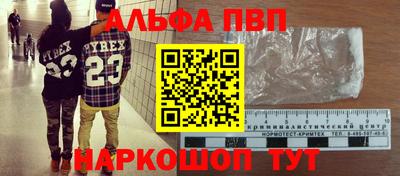 стафф Кингисепп