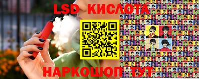 стафф Кингисепп