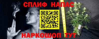 дживик Кимры