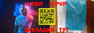 стафф Кингисепп