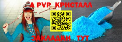 стафф Кингисепп