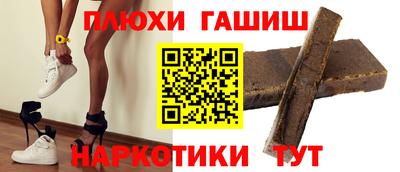 стафф Кингисепп