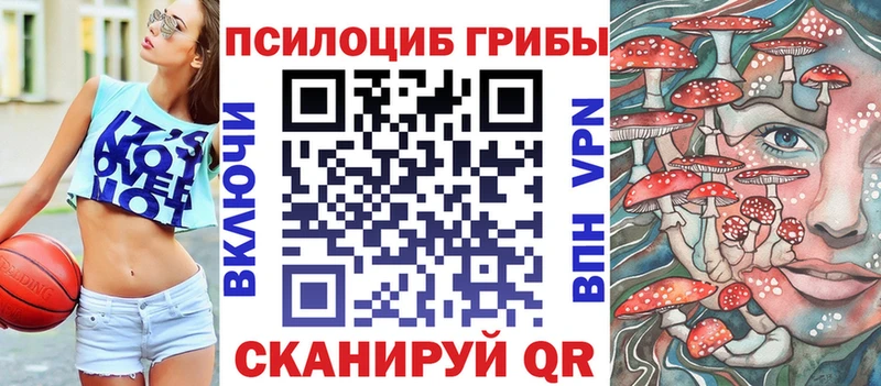 KRAKEN вход  Керчь  Галлюциногенные грибы MAGIC MUSHROOMS 