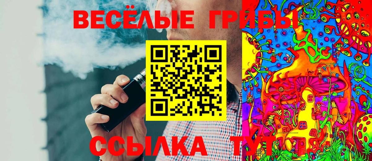 Псилоцибиновые грибы GOLDEN TEACHER  Вход с VPN  Керчь 